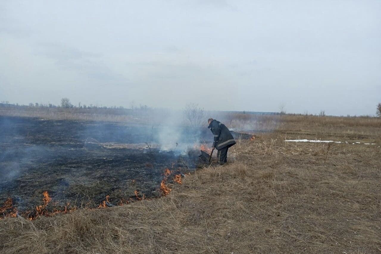 На Вишгородщині за добу сталися чотири пожежі в екосистемах