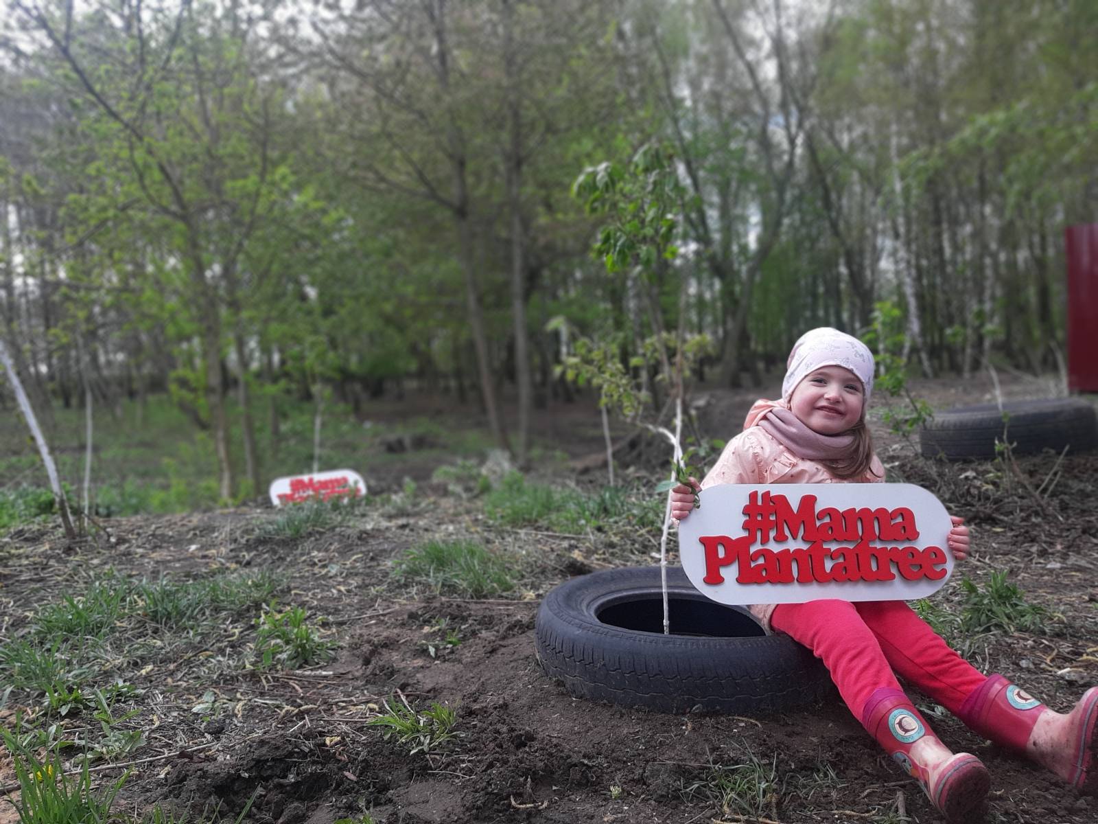 Жителів Київщини запрошують до участі у проєкті «Мамо, посади дерево»