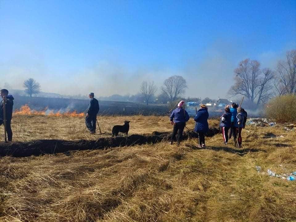 Випалювання трави мало не знищило шість будинків