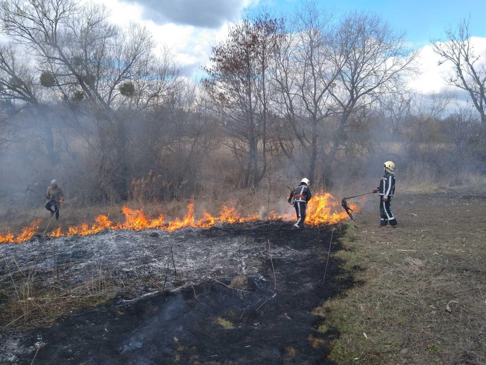 Невгамовні палії : на Київщині за добу ліквідовано 44 пожежі